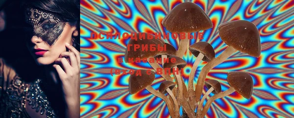 mdma Дмитриев