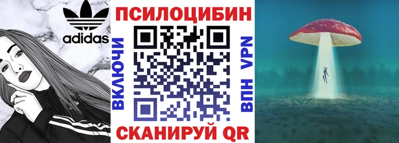 закладка  Солнечногорск  Псилоцибиновые грибы GOLDEN TEACHER 