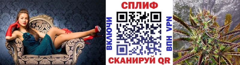 купить цена Солнечногорск Бошки Шишки марихуана